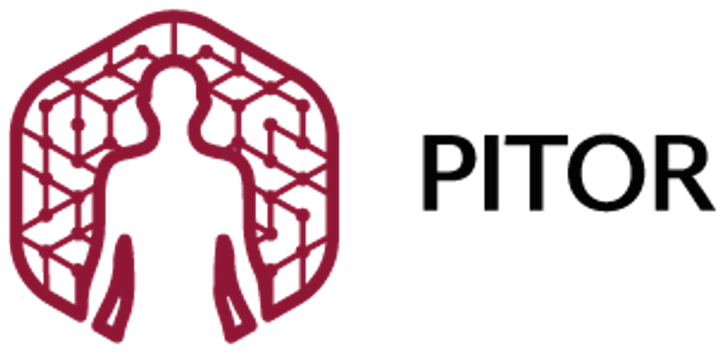 Logo PITOR